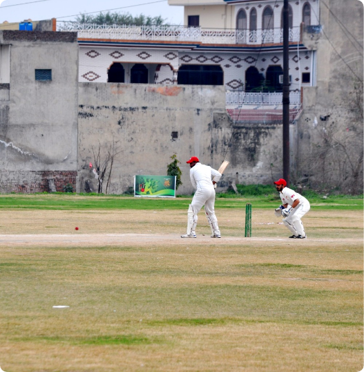 cricket-highlight-01