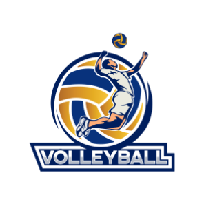 vollyball-logo-dummy